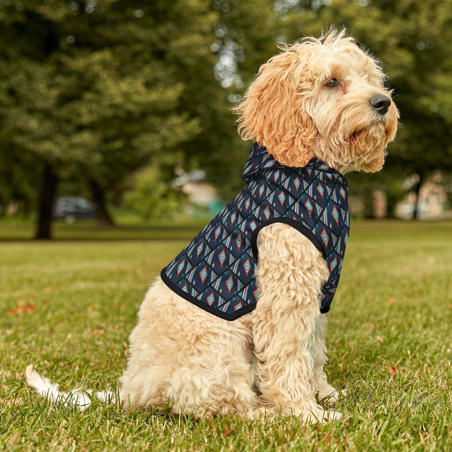 Pet Hoodie - Southwest Style for Cats and Dogs